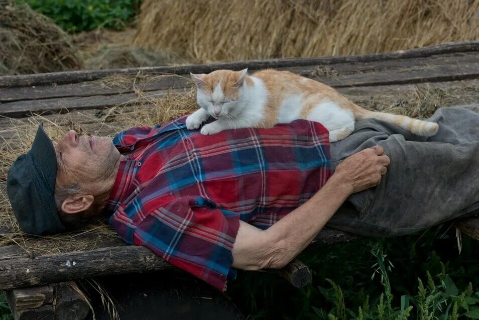 Деревенский дедушка. Сон в деревне.