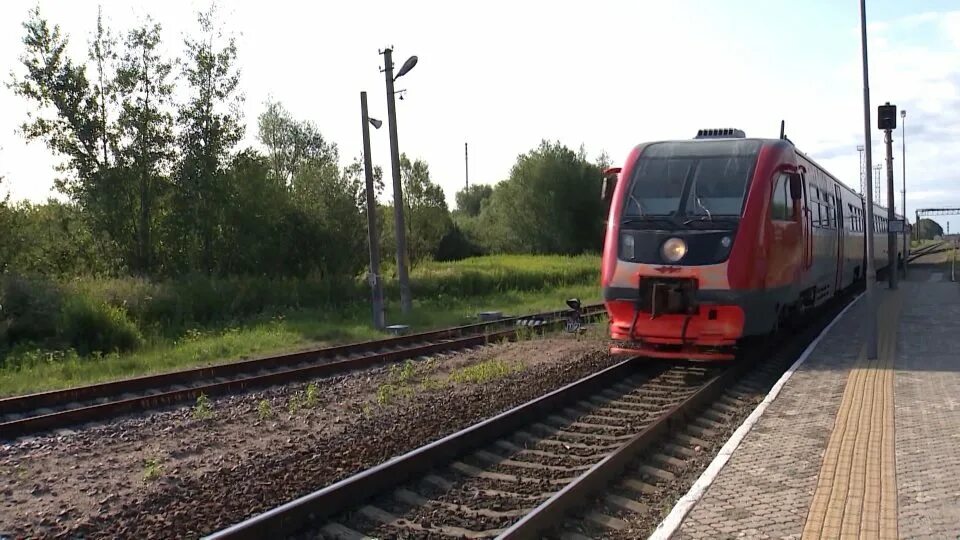 Калининград советск автобус купить. Калининград Советск электричка. Вести Калининград поезд. Рельсобус в Калининграде в городе в Калининградской области. Электричка Калининград Зеленоградск.