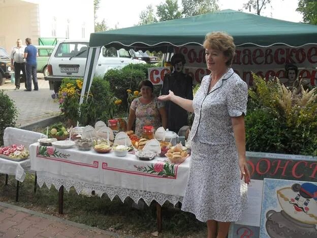 Погода ростовская область шолоховский район ст вешенская