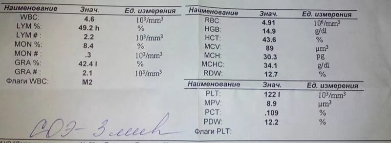 Plt в анализе крови у взрослого. MPV L В анализе крови что это. Клинический анализ крови MPV. Что такое MPV В анализе крови у женщин. Общий анализ крови MPV что это.