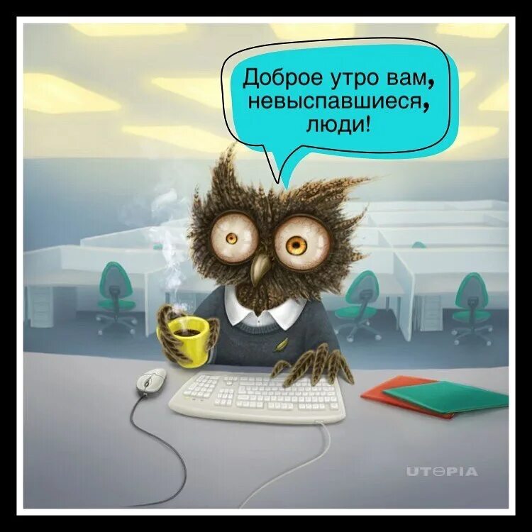 Утро добрым не бывает картинки прикольные смешные. С добрым утром невыспавшиеся люди. утро прикол. доброе утро прикол. шутки с добрым утром.