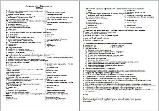 Проверочная по биологии 8 класс нервная система. Проверочная по биологии нервная система 8 класс. Контрольная работа биология 8 класс нервная система. Нервная система тест 8 класс биология с ответами. Нервная система 8 класс биология контрольная работа с ответами.