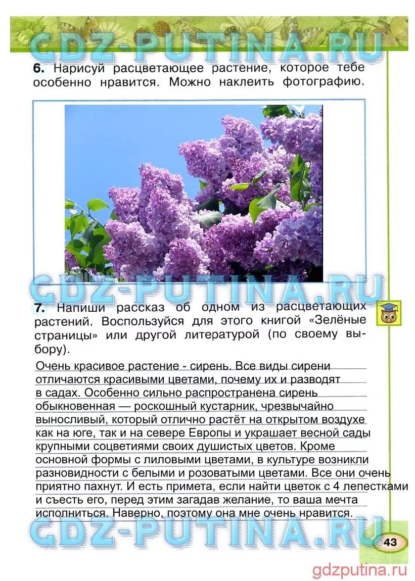 Нарисуй расцветающее растение которое тебе особенно Нравится. Рассказ о красоте растений. Нарисовать расцветающее растение которое тебе особенно Нравится. Рассказ 2 класс окружающий мир.