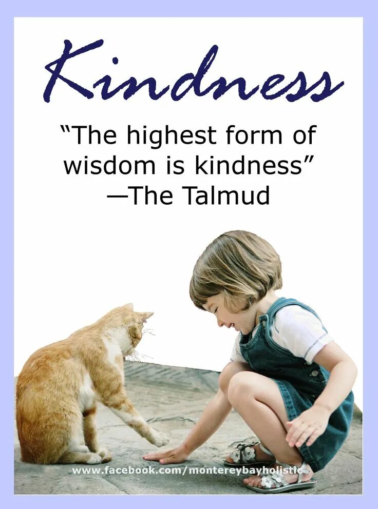 What is Kindness. Kindness?рав. Kindness examples. Kinds of kindness