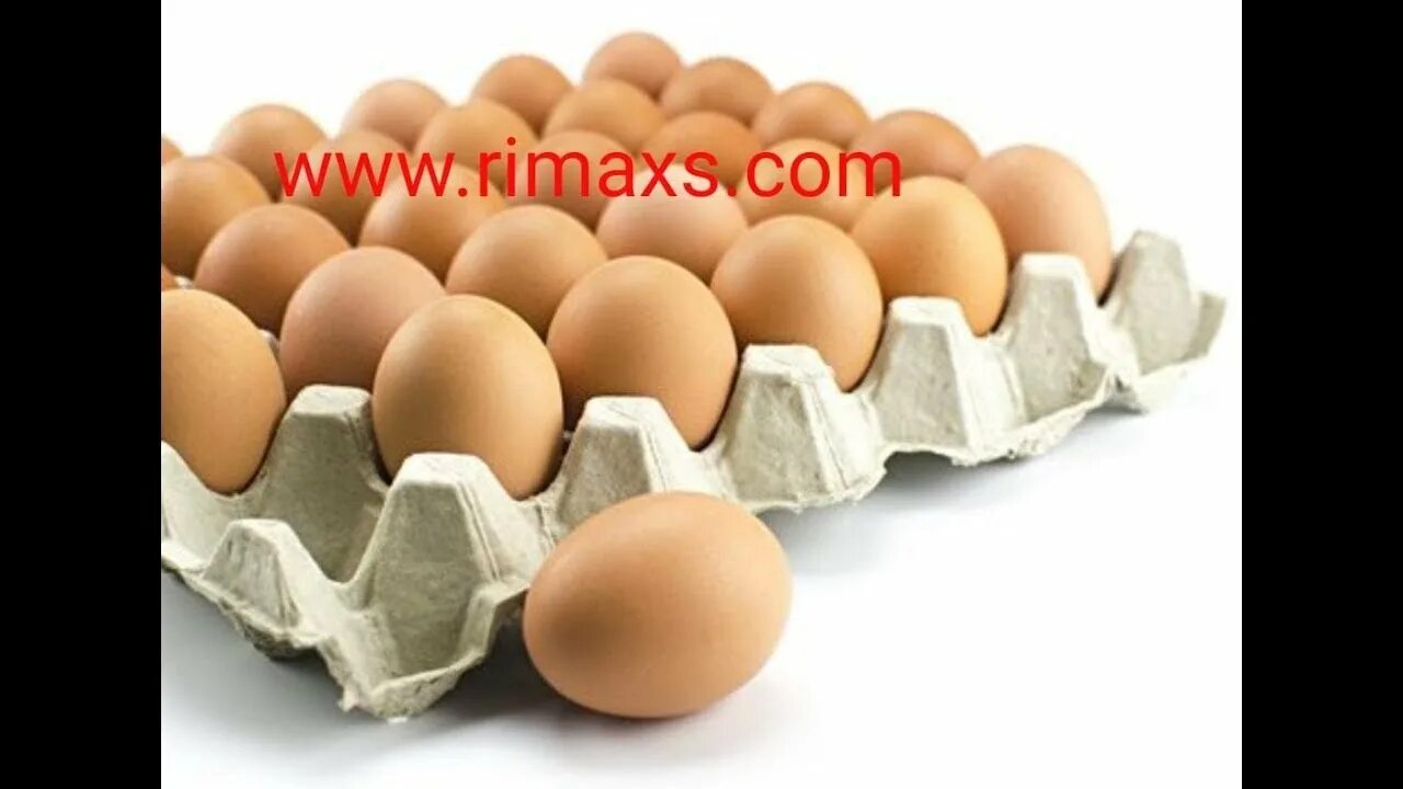 Яйцо куриное. Лоток для яиц. Куриные яйца в лотке. Лоток яиц на белом фоне. All eggs in sols rng