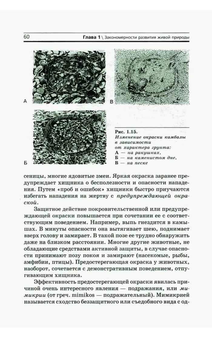 Биология 11 класс мамонтов. Учебник биологии 11 класс Захаров Мамонтов Сонин Захарова читать. Учебник по биологии 11 класс Сонин. Биология. 11 Класс. Учебник - Захаров, Мамонтов, Сонин, Захарова. Учебник по биологии 11 класс Мамонтова.