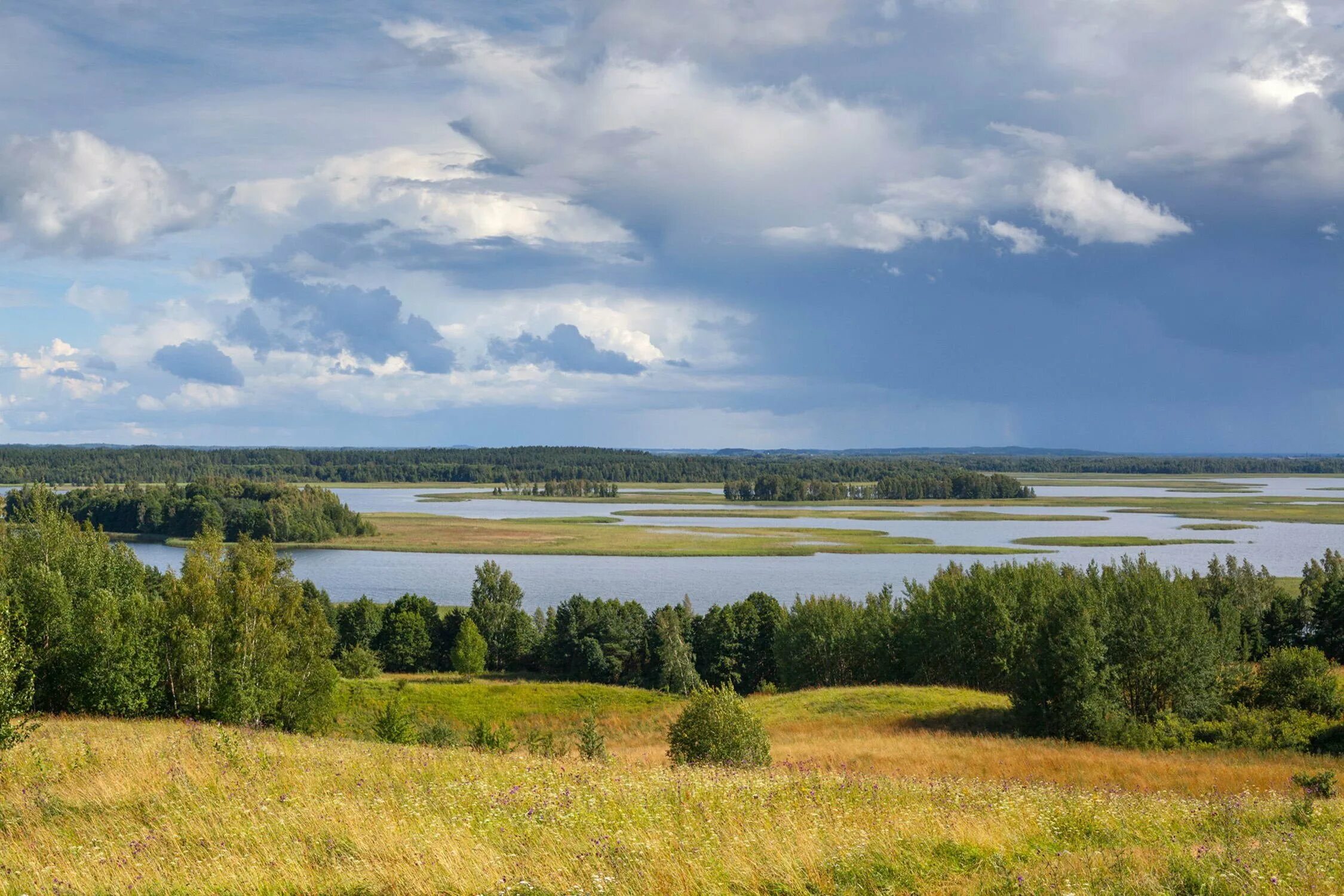 Заповедник березовский. Березинский заповедник Беларусь. Березинский биосферный заповедник озера. Заповедник в Витебской области.