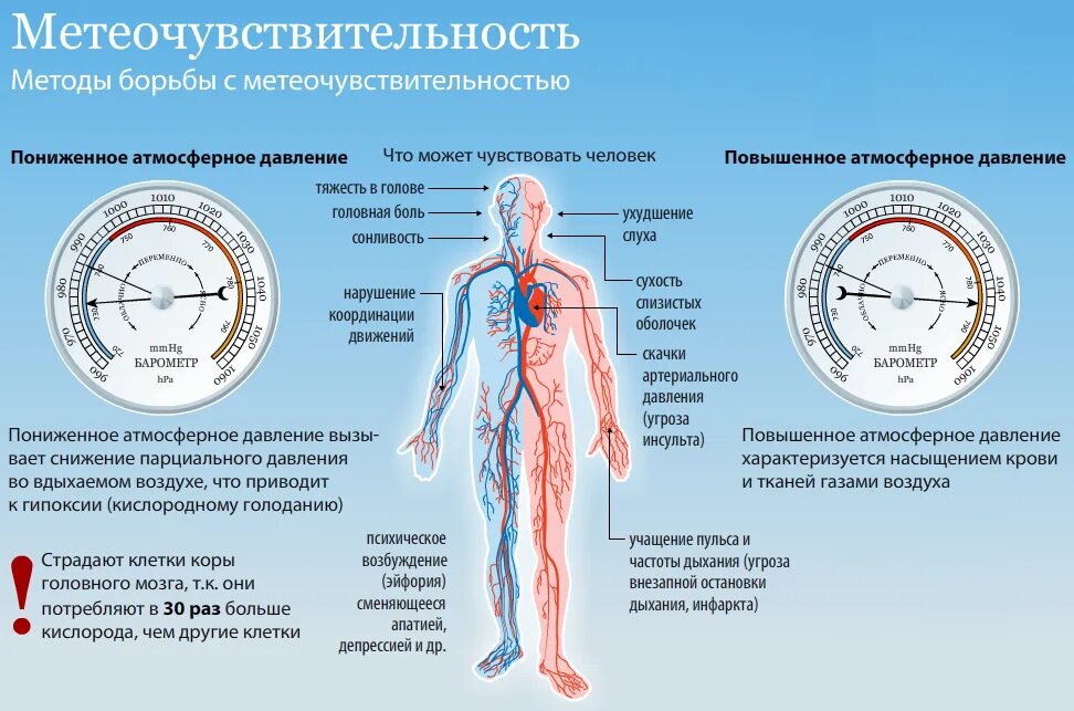 Болезненные состояния организма. Влияние атмосферного давления на организм. Влияние атмосферного давления на человека. Влияние пониженного атмосферного давления на организм. Низкое атмосферное давление как влияет на человека.