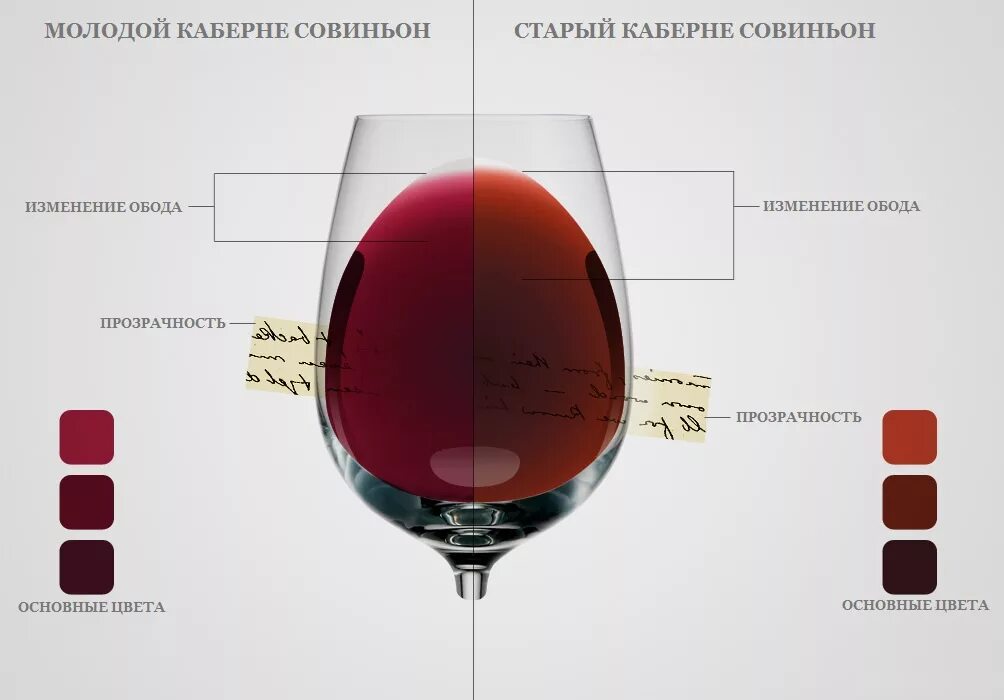 Каберне Совиньон цвет вина. Палитра вина Wine Folly. Сорт Каберне Совиньон цвет вина. Классификация вина Каберне Совиньон. Производство красного вина