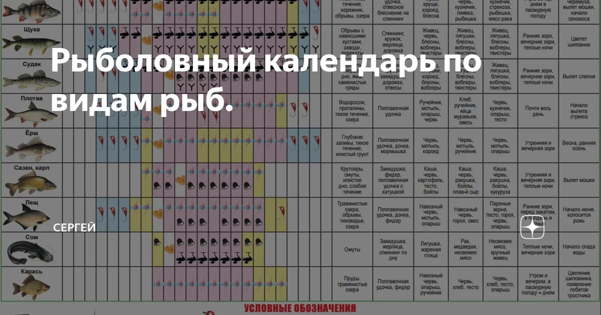 Нерест щуки в подмосковье. Рыболовный календарь. Таблица рыболова. Календарь рыбалки. Календарь ловли рыбы.