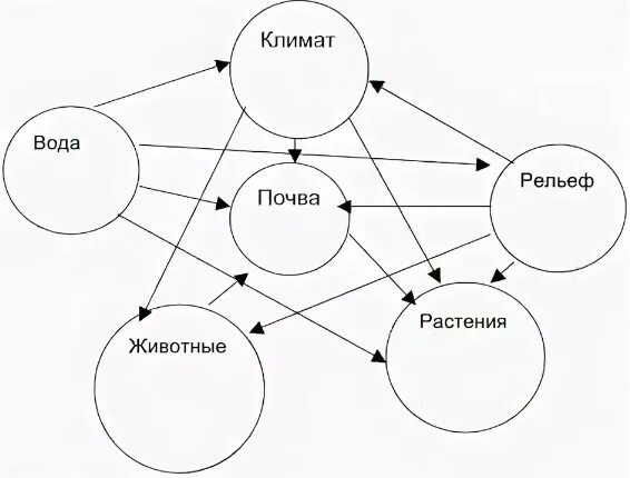 6 природных компонентов. Взаимосвязь компонентов природного комплекса схема. Составьте схему взаимосвязь природных компонентов. 1. Составьте схему «взаимосвязь природных компонентов»:. Схема взаимосвязей в природном комплексе.