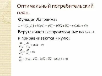 Функция лагранжа