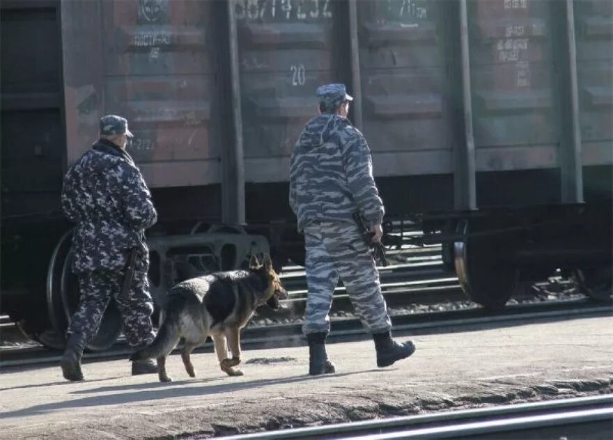 Охрана жд транспорта. Ведомственная (военизированная) охрана железнодорожного транспорта. Охрана ВОХР РЖД. Военизированная охрана РЖД. Вневедомственная охрана ЖДТ России.