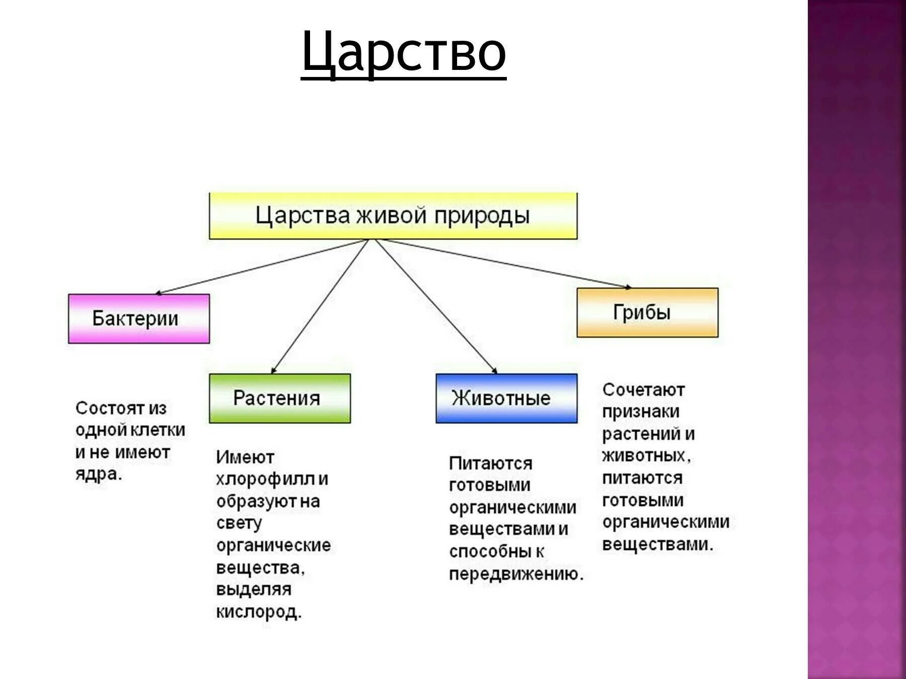 Царство растений животных грибов бактерий вирусов. Царства живой природы схема 5 класс. Схема царство природы 2 класс. Признаки Царств живой природы.