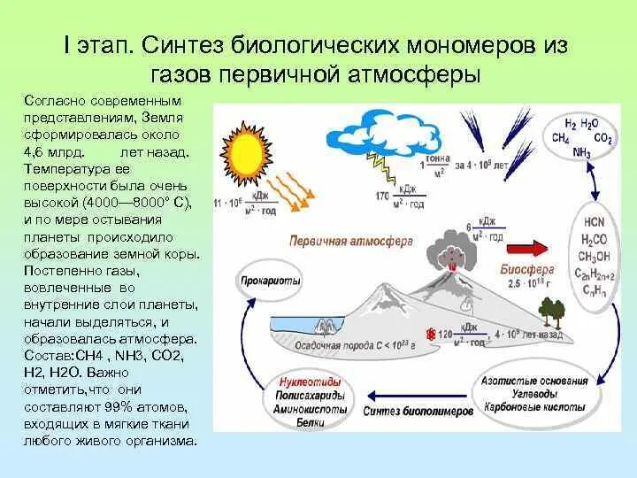 Этапы биохимической эволюции Опарина-Холдейна. Гипотеза возникновения жизни Опарина. Этапы возникновения жизни по Опарину. Возникновение жизни по Опарину.