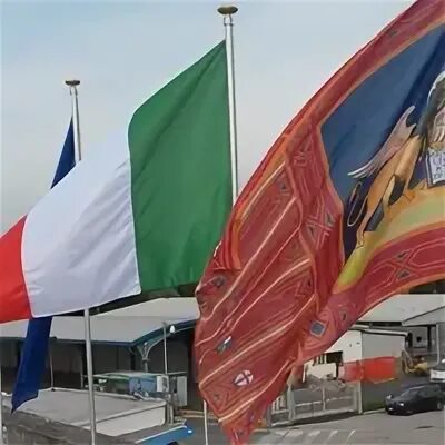 Flag system