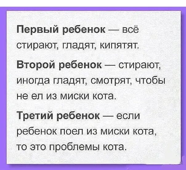 Это проблемы кота третий ребенок. Ребёнок поел из миски кота-это проблемы. Третий ребенок ест из миски кота это проблемы кота. Если поел из миски кота это проблемы.