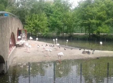 Ростов на дону ул зоологическая 3
