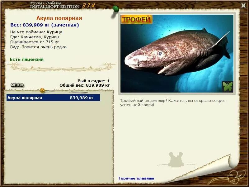 7. 6 остров врангеля. русская рыбалка 3 7 4 остров врангеля. полярная акула реальная рыбалка. акула полярная русская рыбалка.