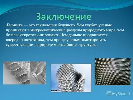 Что такое бионика