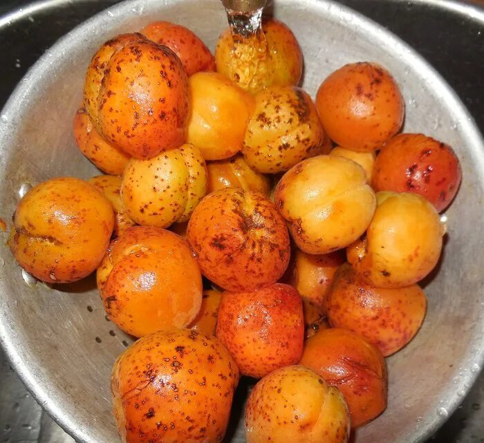 Абрикосовый джем. Абрикосовое варенье с косточками. Янтарное абрикосовое варенье. Урюковый джем. Замороженные абрикосы.