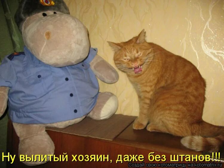 Хозяев даже в самый. Хозяев даже в самый. Хозяев даже в самый. Люди и животные любовь. Любите животных.