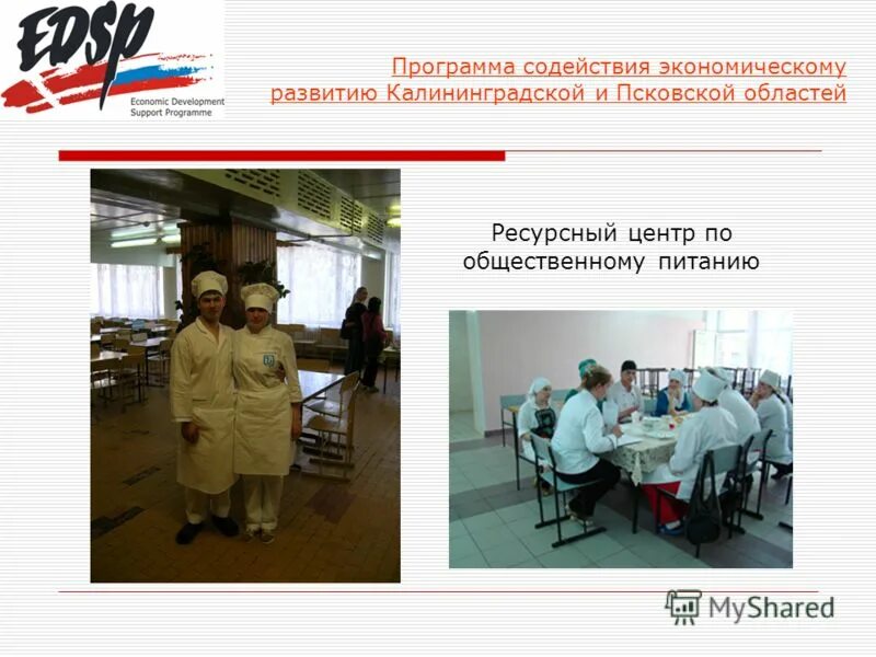 Статус поддержки программы. Содействие занятости национального проекта демография. Содействие занятости национального проекта демография. Леона поземского 122 ресурсный центр псков. Программа "центр андрологии".