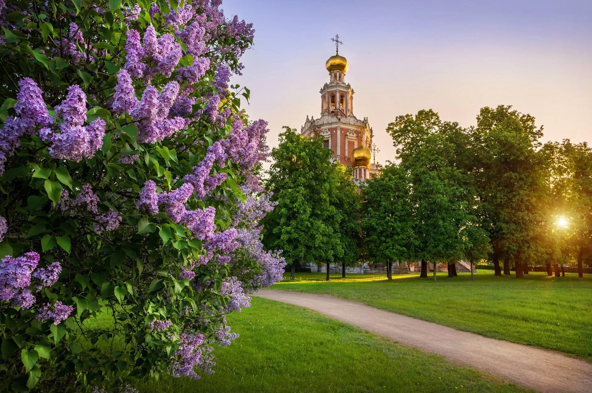 Царское село сирень. Дивеево сирень. Сергиев Посад монастырь сирень. Покровская Церковь Чертаново сирень. Цветы в саду май