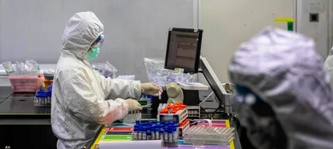 Новости коронавируса карелия
