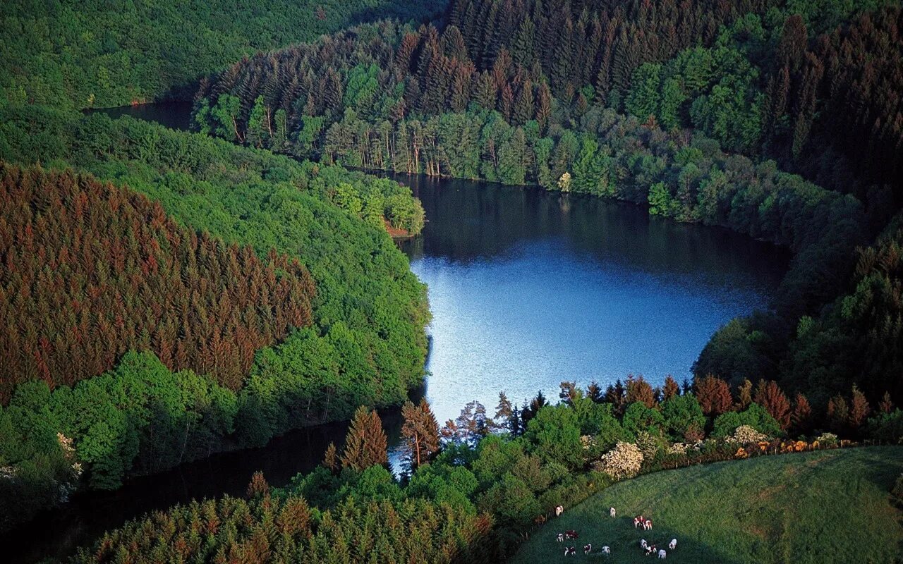 самая зеленая страна в европе. зона тайги. восточносибирская тайга климат. финляндия хвойно широколиственные леса. водлозерский парк карелия.