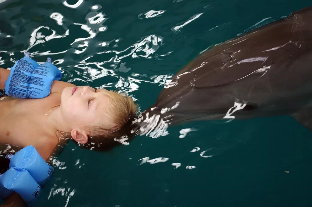 Удовольствие с дельфином. Дельфинотерапия. Человек Дельфин. Дельфинотерапия для детей. Дельфины и люди.