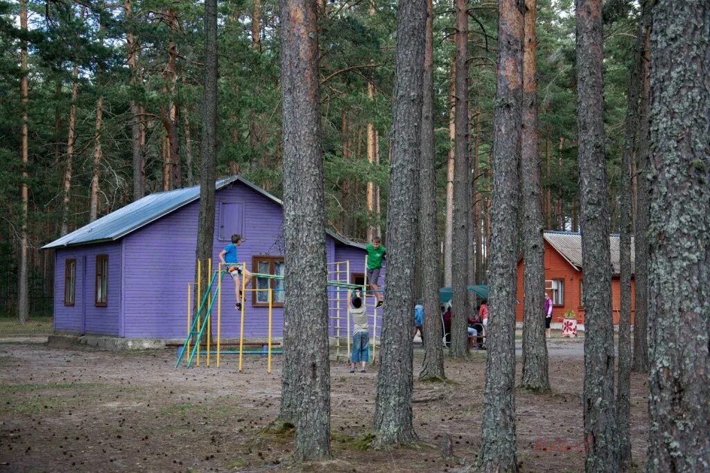 Лагерь пески 2 псковская область. Лагерь Чайка Псковская область гороховое озеро. Лагерь Солнечный Псковская область Опухлики. Лагерь Чайка гороховое озеро. Лагерь Чайка Псковская область Опухлики