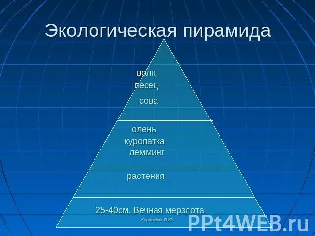 Экологическая пирамида. Правило экологической пирамиды. Экологическая пирамида природного равновесия. Экологическая пирамида тундры.
