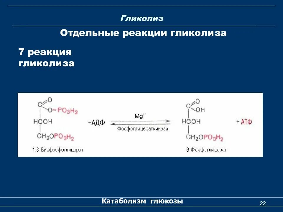 Процесс реакции гликолиза. 10 реакций гликолиза биохимия. уравнение гликолиза глюкозы. 3 реакция гликолиза. 10 реакции гликолиза глюкозы.