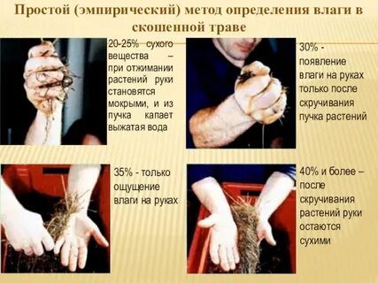 Влажность хлеба