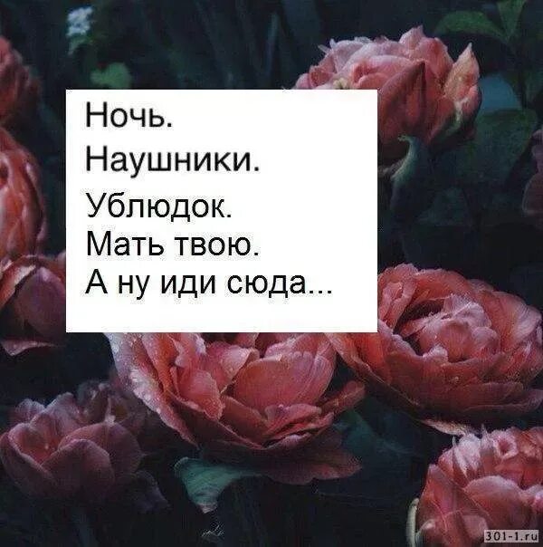 Иди сюда аудио. Ублюдок мать твою. ах ты ублюдок мать твою. а ну иди сюда. прикол ублюдок мать твою иди сюда.