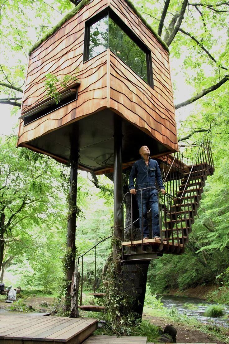 It s a tree house