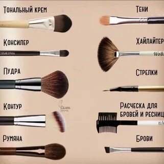 Набор кистей от Атоми мои помошницы. 2024 Сильвия Ким ВКонтакте