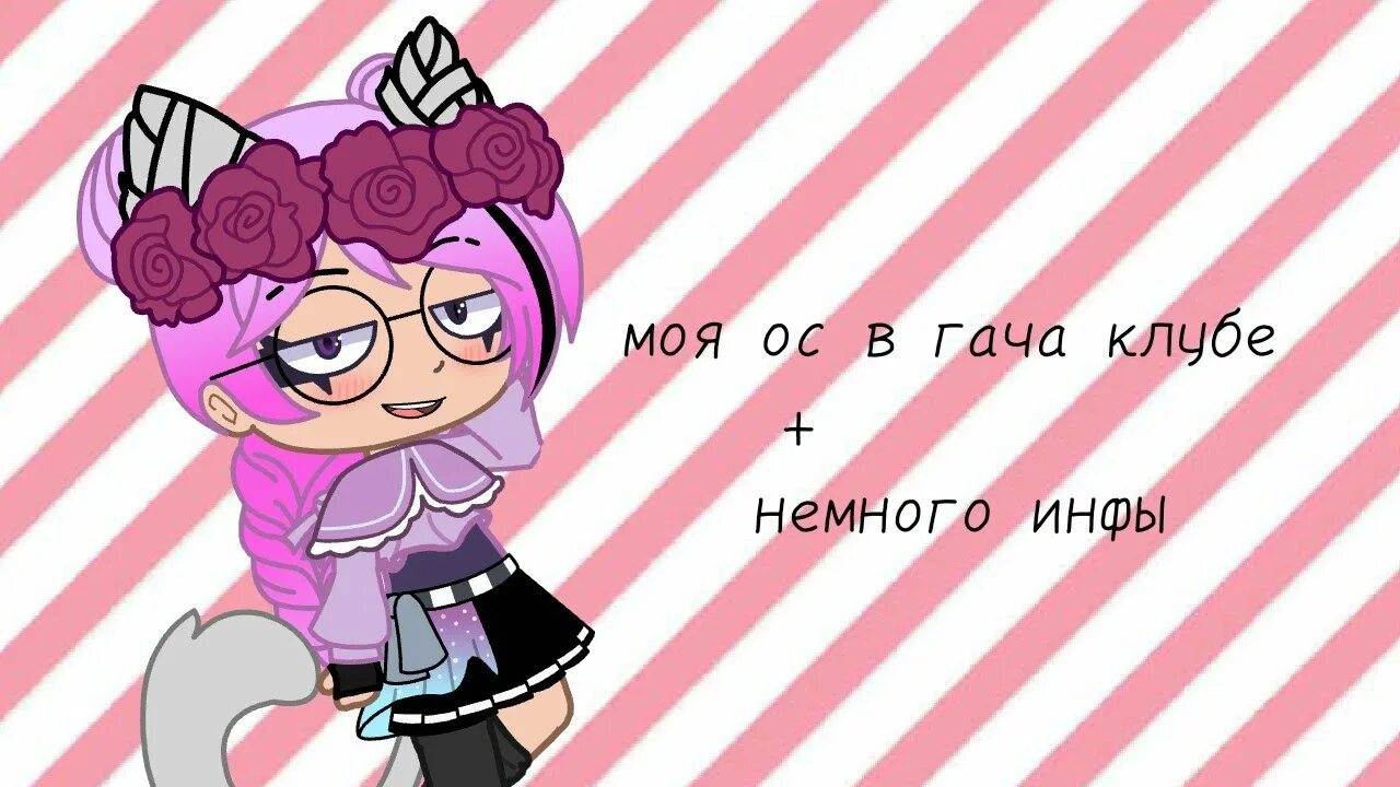 Срача ос