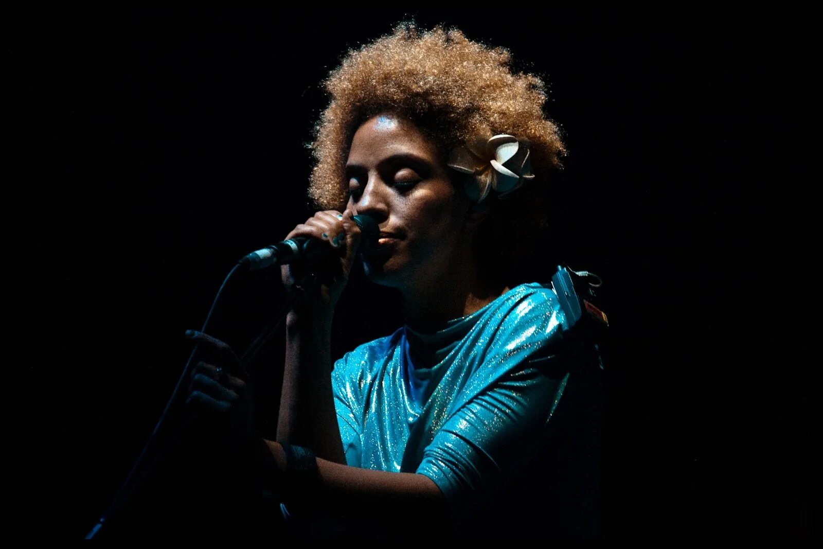 Martina Topley-Bird. Martina Topley-Bird Sandpaper Kisses. William Topley ' 2020. William Topley фото.