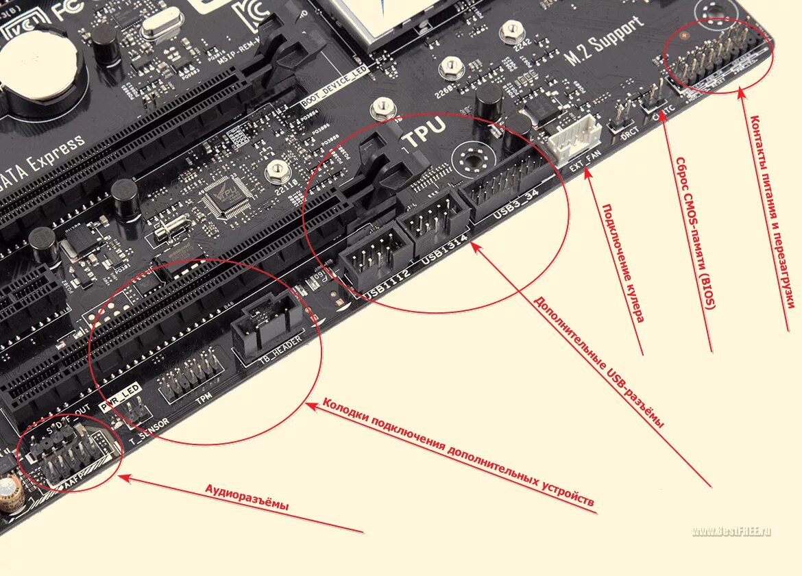 Звуковая карта на материнской плате. Колодка на материнскую плату. PCB колодка на материнской плате. Соединительная колодка материнская плата. Переходные колодки для материнской платы.