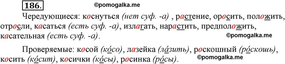 Рус яз 6 класс упр 186