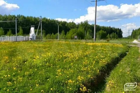 Погода в холмец шаховского