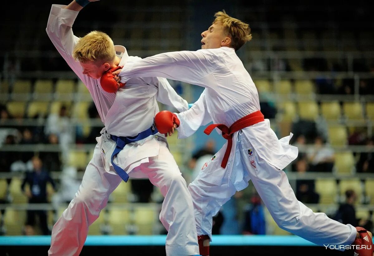 WKF каратэ Поединки. Ўзбекистон каратэ WKF. Каратэ WKF Russia. Каратэ WKF бои