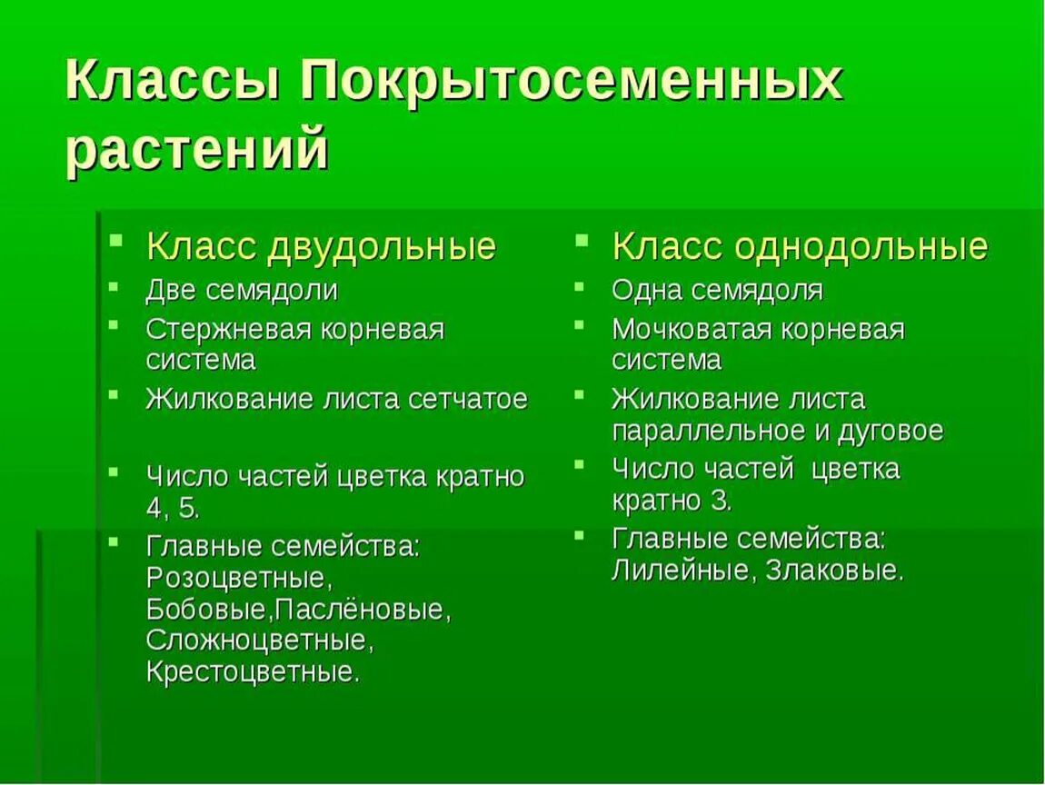 Сколько классов растений