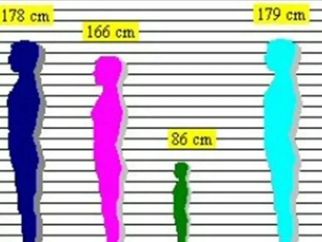 178 рост для мужчины. Рост человека. Рост 178. Рост 166 и 179. Люди с ростом 166.