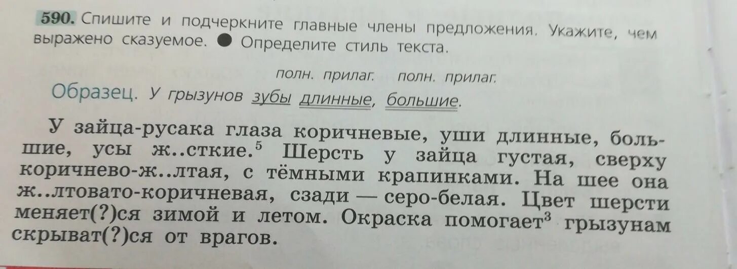 У зайца русака глаза коричневые. У зайца русака глаза коричневые уши длинные большие усы. У зайца русака глаза коричневые уши длинные стиль текста. У зайца русака глаза коричневые уши пунктуационный разбор. У зайца русака глаза коричневые уши длинные большие усы жесткие 5.