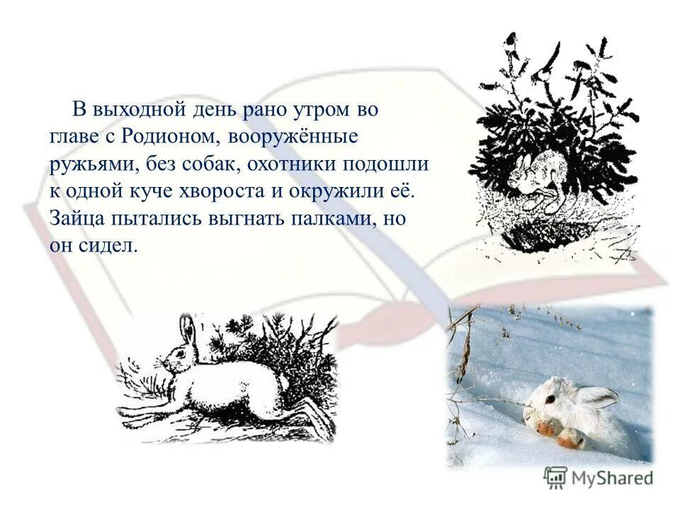 М пришвин синий лапоть краткое содержание. Рассказ синий лапоть. Иллюстрация к рассказу синий лапоть пришвин.