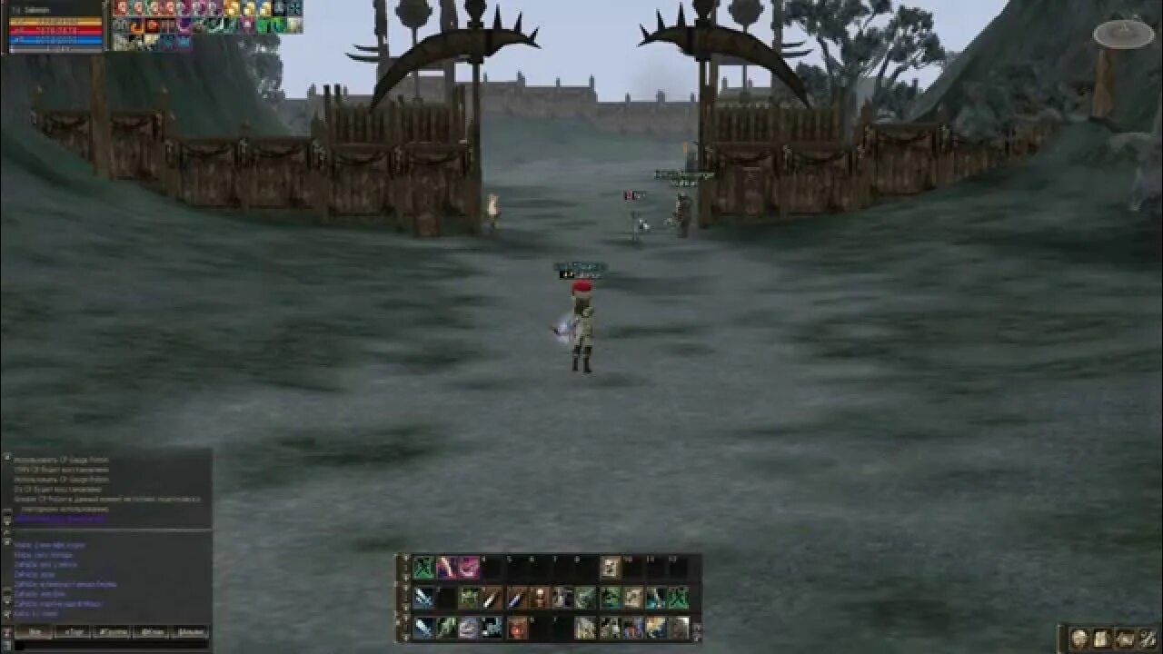 Хавк гайд оли. Татуировки lineage 2. Хавк л2. Хавк л2 гайд. Хавк л2 гайд.