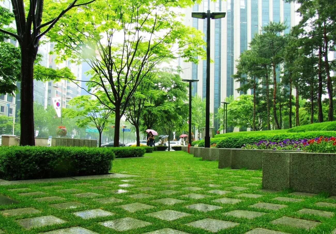 Трава и цветы в городе. Green park озеленение. сеул плаза зеленая зона. парк сити-сквер. зеленые зоны в городе.